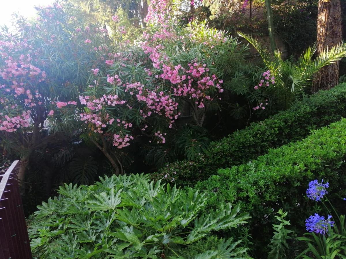 Il Gioiello Nel Parco - Sanremo Apartments Dış mekan fotoğraf